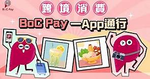 BoC Pay 大灣區一日遊 挑戰零現金、一App通行！