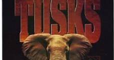 La jungla de marfil / Tusks (1988) Online - Película Completa en Español - FULLTV