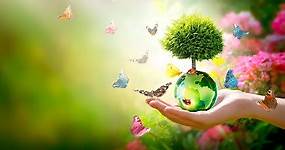 Día Mundial del Medio Ambiente: por qué se celebra el 5 de junio