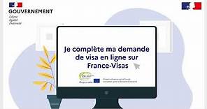 FranceVisas : Compléter votre demande de visa en ligne