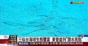 三仙台海域生態豐富 東管處列潛水亮點