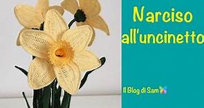 Spiegazione del Narciso all'uncinetto