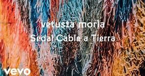Vetusta Morla - Sedal Cable a Tierra (Directo Estadio Metropolitano)