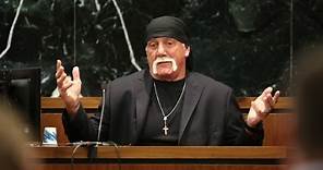 Hulk Hogan vs. Gawker trial in under two minutes