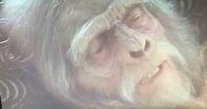 Planet of the Apes (2001) Charlton Heston.