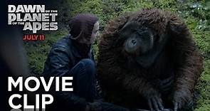 Dawn of the Planet of the Apes | "Hanging Out" Clip [HD] | PLANET OF THE APES