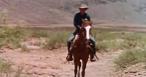 The Cowboy (Trailer 1)