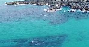 Whales at One Mile Beach Forster | Adam Fitzroy Productions | Barrington Coast