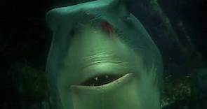 Finding Nemo - 2003 - Bruce the Shark Chase