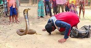 Amazing Street Performance of Snake Charmer | Cobra snake dancing to Flute