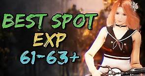 Updated BEST Grinding Spots for lvl 61-63+ || 49 Areas Tested for EXP & SP || Black Desert Online.