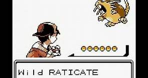 Shiny Raticate evolution from Rattata!! - Pokémon Crystal