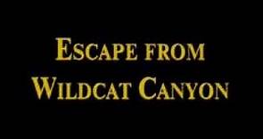 Побег из каньона дикой кошки (1998) Escape from Wildcat Canyon