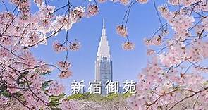 [4K] 大都会東京のオアシス 桜と新緑の新宿御苑 - Shinjuku Gyoen National Garden, An Oasis in Tokyo - (shot on BMPCC6K)