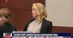 Johnny Depp trial: Amber Heard friend challenged about abuse scene photos | LiveNOW from FOX