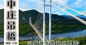中庄吊橋‧月眉溼地‧山豬湖｜台灣最長的懸索式吊橋‧串聯大漢溪景點