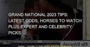 Grand National 2023 tips: Latest odds, horses to watch plus expert and celebrity picks