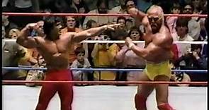 Hulk Hogan & Ricky Steamboat vs Don Muraco, Mr.Fuji, and Johnny Valiant