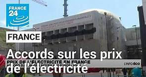 France : l'Etat et EDF s'accordent sur un prix de l'électricité • FRANCE 24