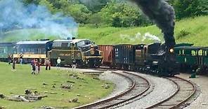 The Great Train Race! Steam Vs Diesel! Steam Locomotive Racing Diesel Train In Cass, West Virginia