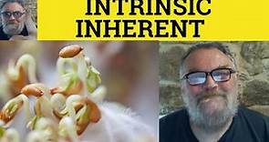 🔵 Inherent Meaning - Intrinsic Defined - Intrinsic vs Inherent - Inherent or Intrinsic Difference