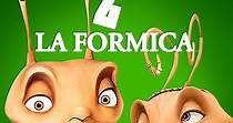 Z la formica - film: dove guardare streaming online