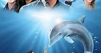 Dolphin Tale streaming: where to watch movie online?