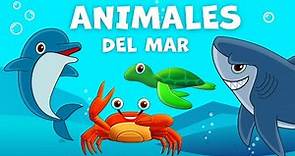 Los animales acuáticos para niños | Animales del mar | Vocabulario para niños