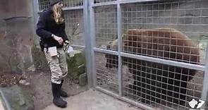 Zoo Insider - Training