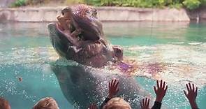 The Toledo Zoo - Membership means MORE at your Toledo Zoo!...