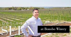 Bonobo Winery with Co-Owner Todd Oosterhouse | SEEN Magazine | SEEN