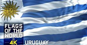 Bandera de Uruguay e Himno Nacional en 4K