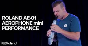 Roland AE-01 Aerophone mini: Performance and Sounds