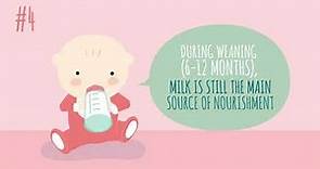 7 Must Know Milk And Nutrition Tips