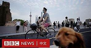 上海解封後街頭重回喧囂 倒閉商戶哭訴經濟壓力－ BBC News 中文