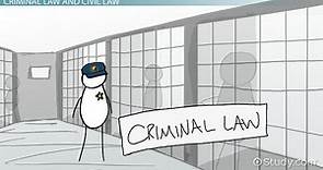 Criminal Law | Main Objective, Purpose & Examples