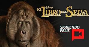 EL LIBRO DE LA SELVA | LIVE ACTION | RESUMEN EN 10 MINUTOS