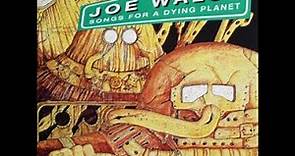 Joe Walsh:-'Song For A Dying Planet'