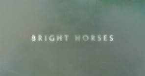 Nick Cave and The Bad Seeds - Bright Horses (Official Lyric Video)