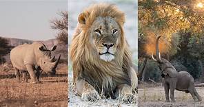 Africa’s Best Wildlife Photography Locations and When to Visit Them