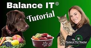 How To Make Homemade Dog & Cat Food Recipes - Vet Approved