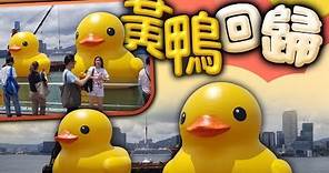 【on.cc東網】黃色巨型橡皮鴨「復活」重游維港 市民憂天熱再變「片皮鴨」