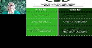 The Efficacy of High CBD Low THC for Better Outcomes in Medical Marijuana
