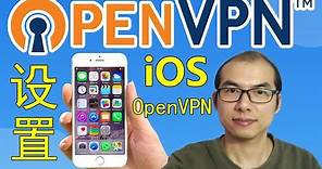 🚀OpenVPN设置教程 在iPhone🍎苹果手机📱中设置和使用OpenVPN