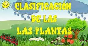 Las plantas 🪴y su clasificación/plantas alimenticias🌾medicinales 🌿 ornamentales🌻 para niños.