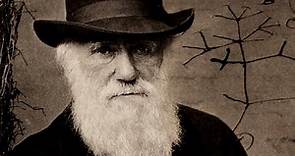 Darwin's Missing Notebooks Returned