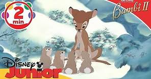 Bambi II | Thumper's Little Sisters | Disney Junior UK