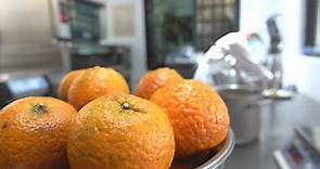 柑橘類果皮成分助逆齡 研究：橙皮素可促進長壽基因｜20230411 公視晚間新聞