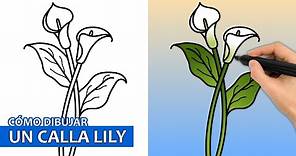 Cómo Dibujar Una Calla Lily | Fácil Tutorial De Dibujo Paso A Paso