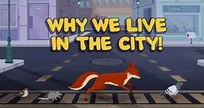 Why We Live in The City! | PLUM LANDING on PBS KIDS